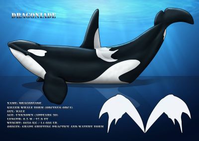 Dragoniade (Orca)
Commission done by AngelMC18
Keywords: AngelMC18;Dragoniade Orca