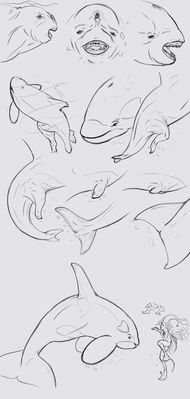 Dragoniade (Orca) Transformation 3/3
Commission done by K-Libra
Keywords: K-Libra;Dragoniade Orca;Orca TF