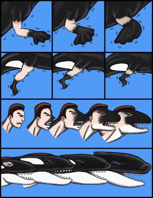 Dragoniade (Orca) Transformation 4/5
Commission done by [url=http://ravenfire5.deviantart.com/]Ravenfire5[/url]
Keywords: Ravenfire5;Dragoniade Orca;Orca TF