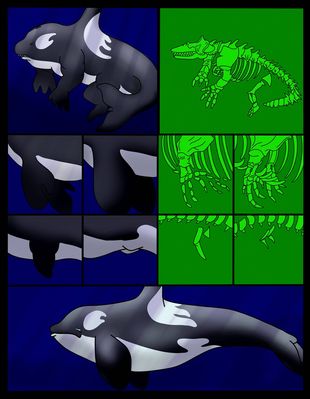 Orca Transformation 4/5
Commission done by [url=http://luckery.deviantart.com/]Wolfaro[/url]
Keywords: Wolfaro;Orca TF;Dragoniade Orca